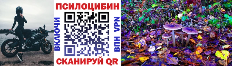 omg tor  Елец  Псилоцибиновые грибы прущие грибы 