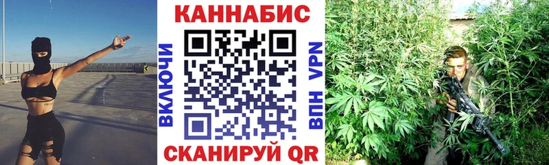 Бошки Шишки THC 21% Елец